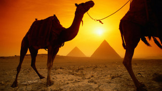 Путешествие в Египет видео